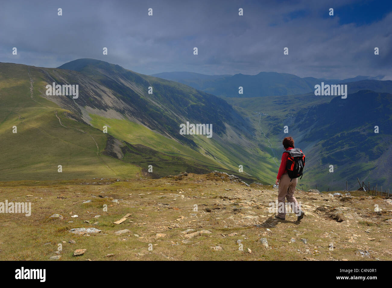 Un marcheur sur Robinson en direction de Dale Head dans le Lake District Banque D'Images