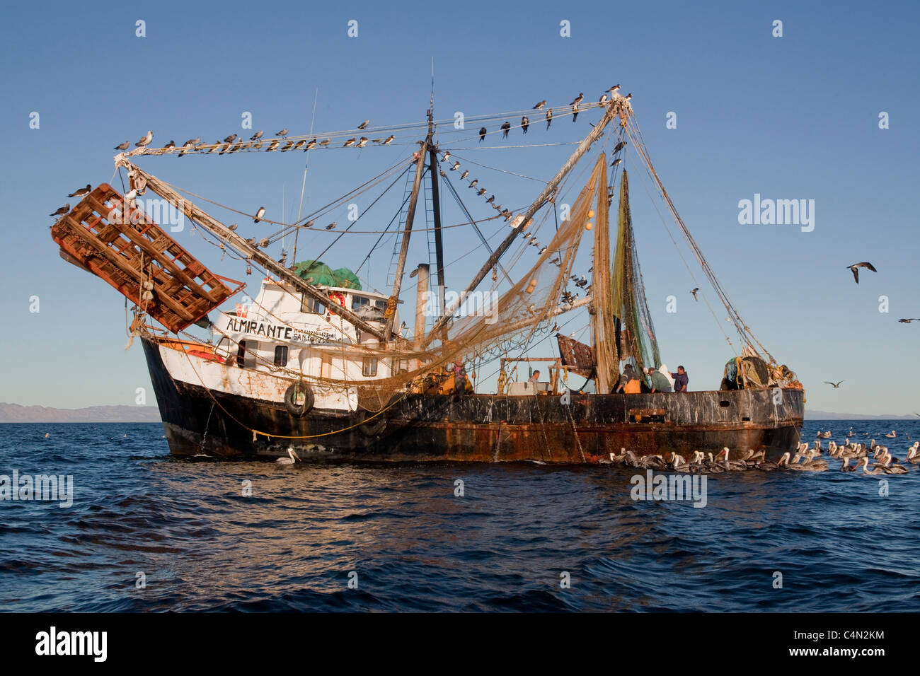 Un crevettier mexicain de la pêche dans la baie de Kino, au Mexique. Banque D'Images