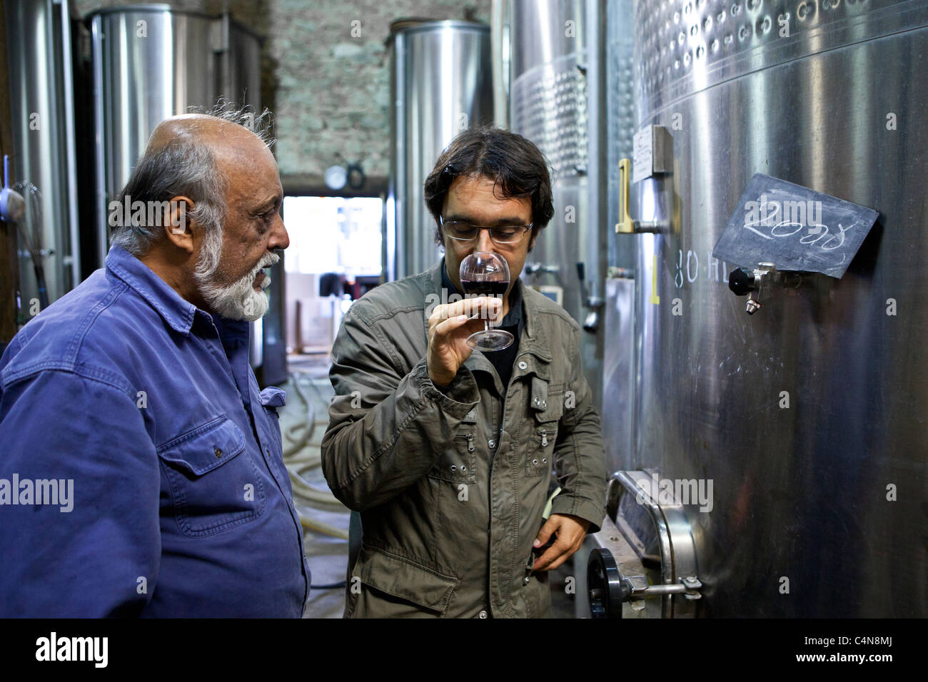 Renifle l'oenologue le millésime 2008 vu par Fontcaille titulaire au Château Bellevue, Bordeaux Wine region de France Banque D'Images