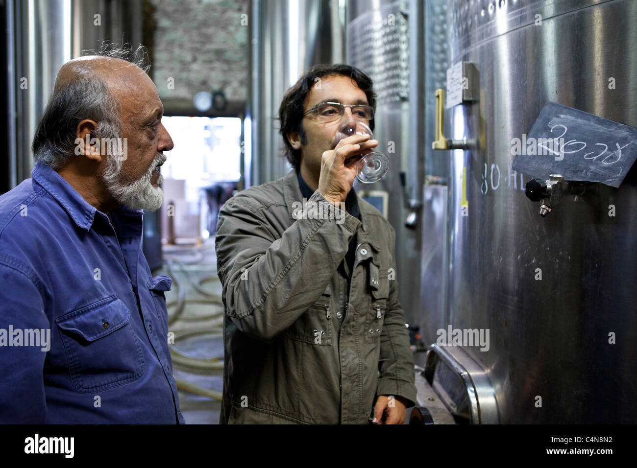Les tests de l'oenologue le millésime 2008 vu par Fontcaille titulaire au Château Bellevue, Bordeaux Wine region de France Banque D'Images