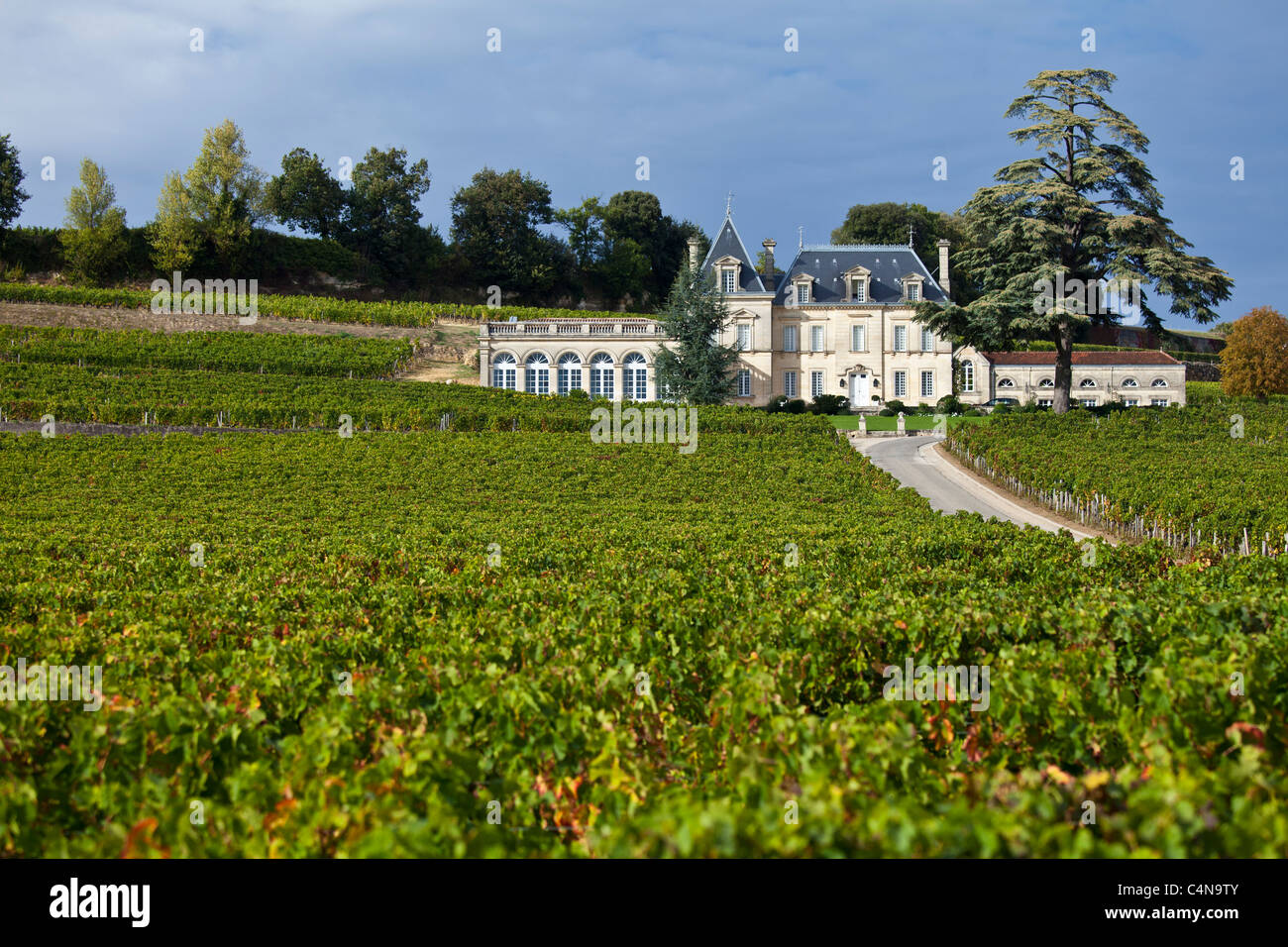 Chateau Fonplegade dans la ville de St Emilion, Bordeaux, France Banque D'Images