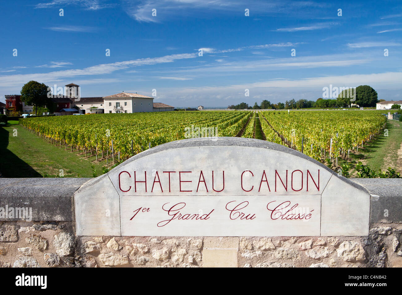 Vignoble de Château Canon 1er Grand Cru Classe St Emilion, dans la région des vins de Bordeaux de France Banque D'Images