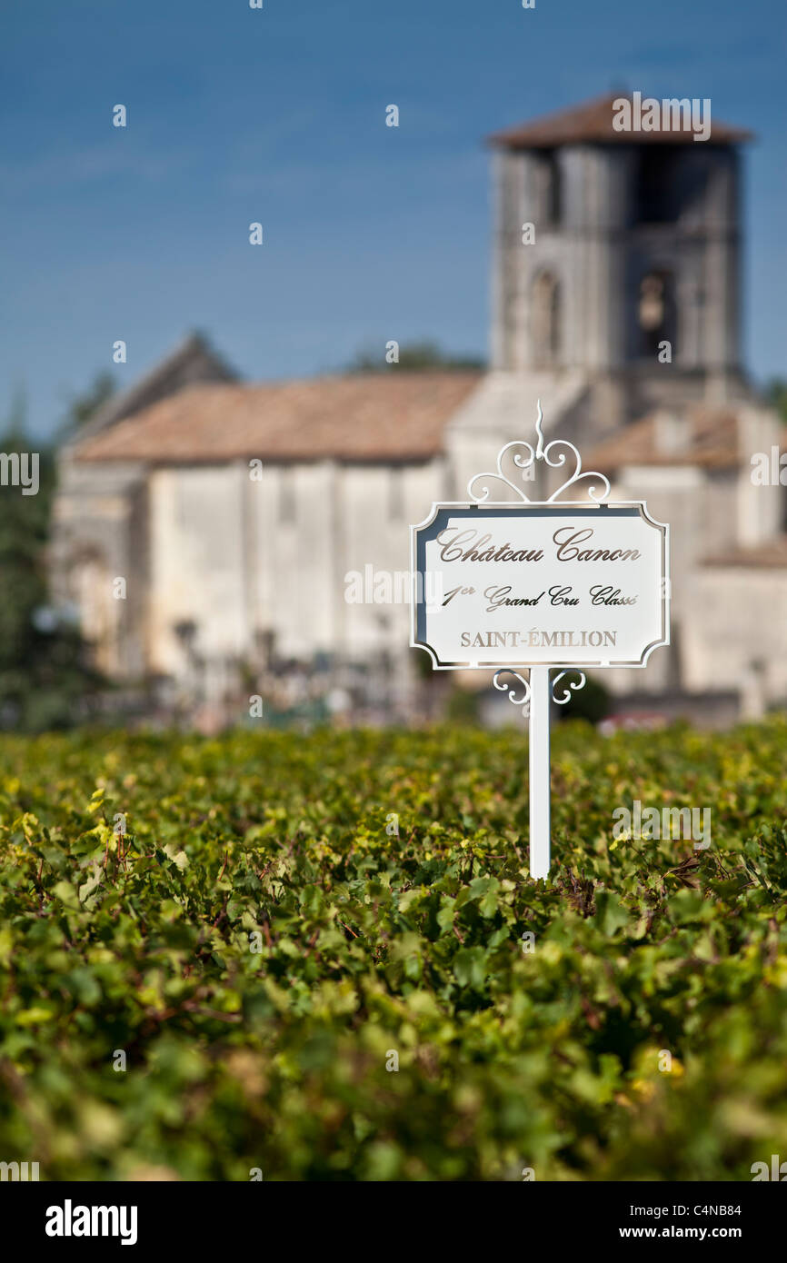 Vignoble de Château Canon 1er Grand Cru Classe St Emilion, dans la région des vins de Bordeaux de France Banque D'Images
