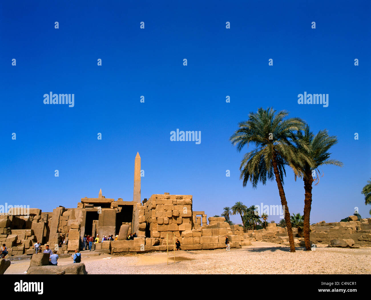 Karnak Egypt obelisks de Hatshepsut & Tuthmose I situé dans le Temple d'Amun Banque D'Images