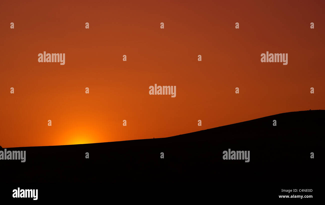 Orange Crest Photos Orange Crest Images Alamy