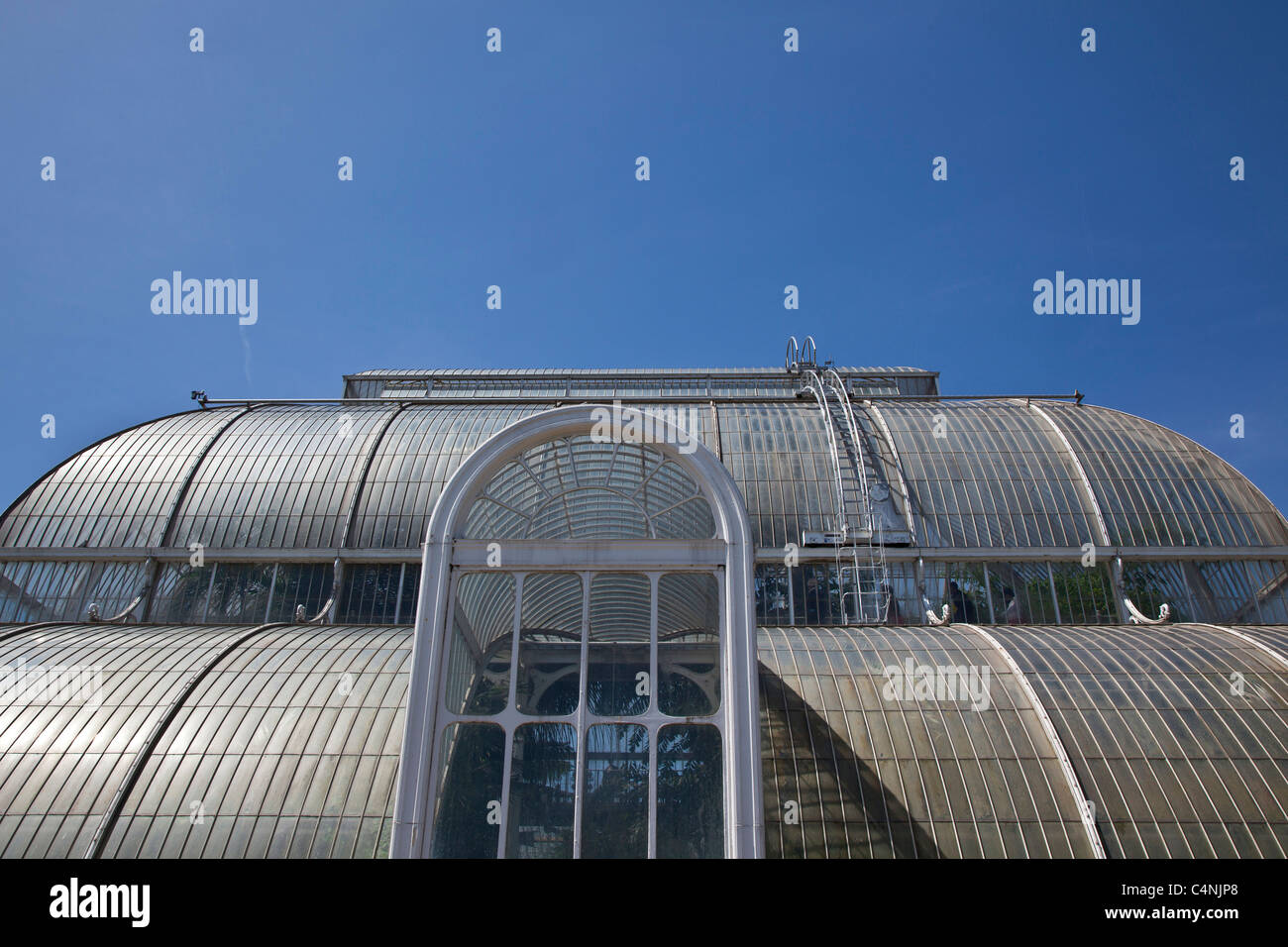 La Palm House, Jardins botaniques royaux de Kew, Richmond, Surrey, Londres Banque D'Images