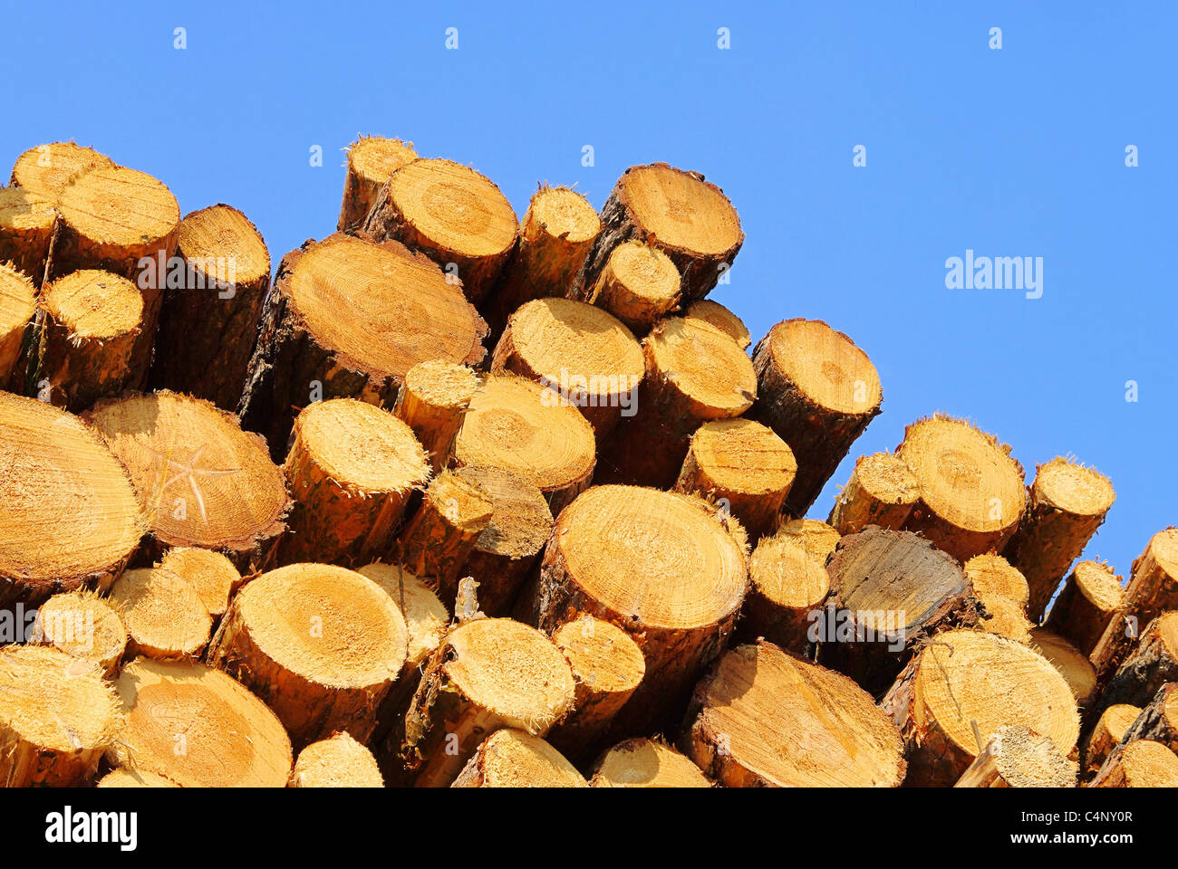 Holzstapel - pile de bois 35 Banque D'Images
