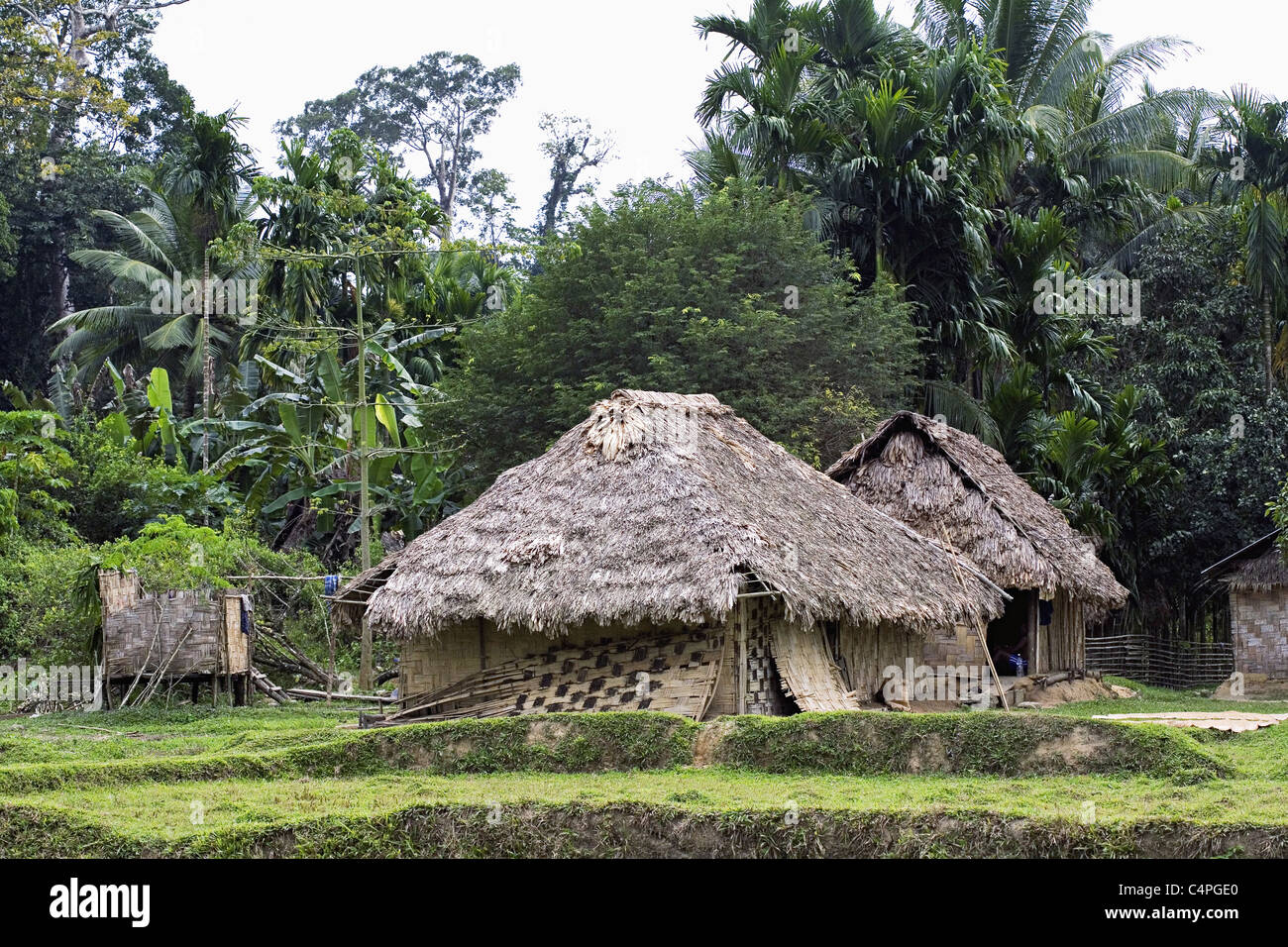 Baratang village - îles Andaman. Banque D'Images