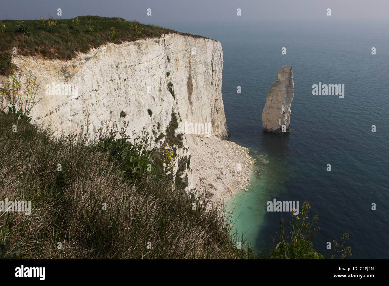 Glissement récent sous les falaises de craie de Ballard. Studland, Dorset, UK. Banque D'Images