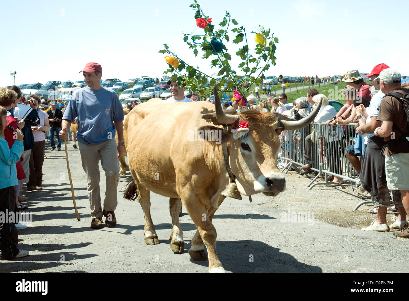 Les spectateurs applaudir défilés colorés au cours de l'assemblée annuelle des vaches Fête de la Transhumance, c.-à-d. en troupeaux à/de pâturages d'été Banque D'Images