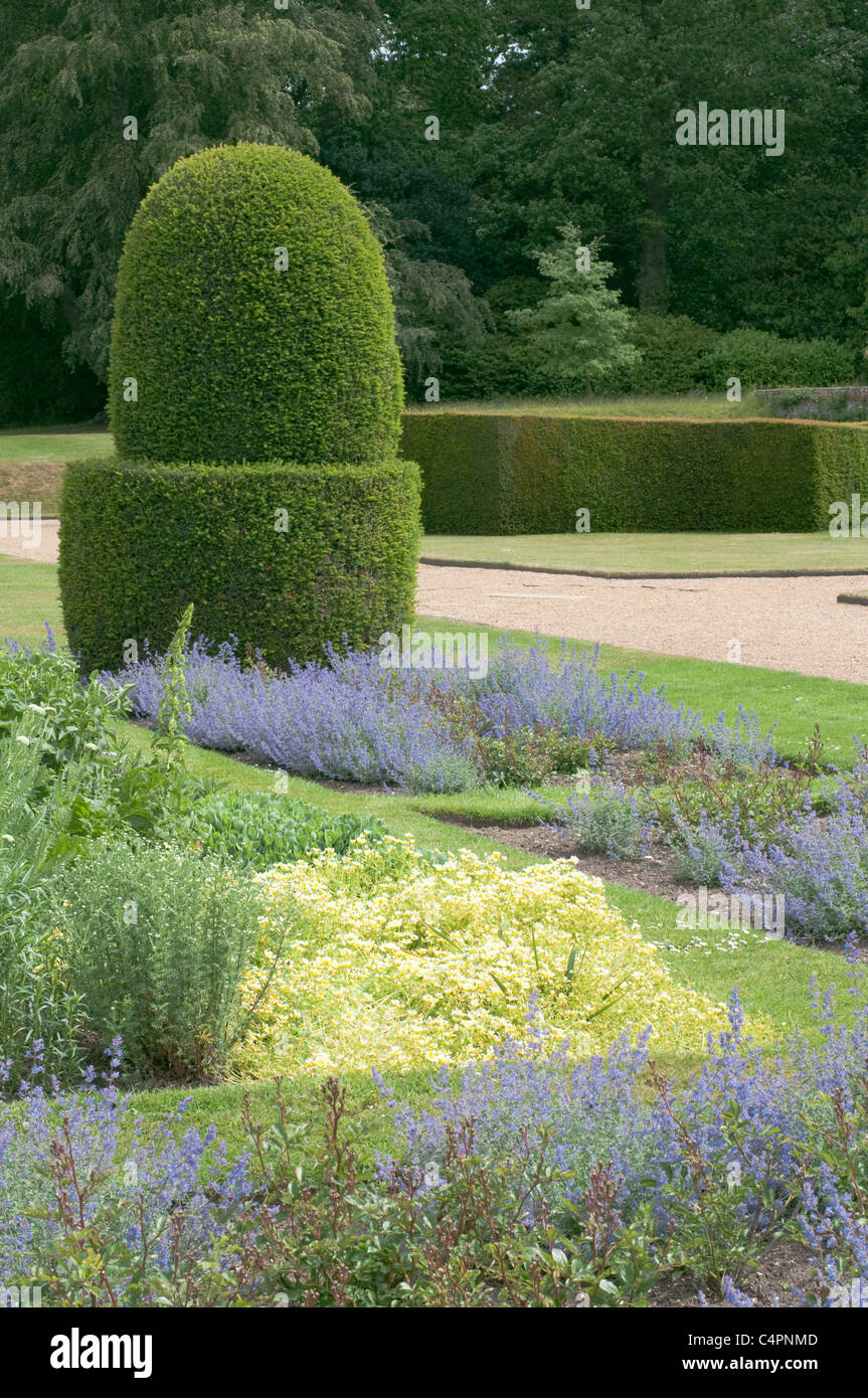 Jardin anglais buis, Norfolk, Royaume-Uni. Banque D'Images