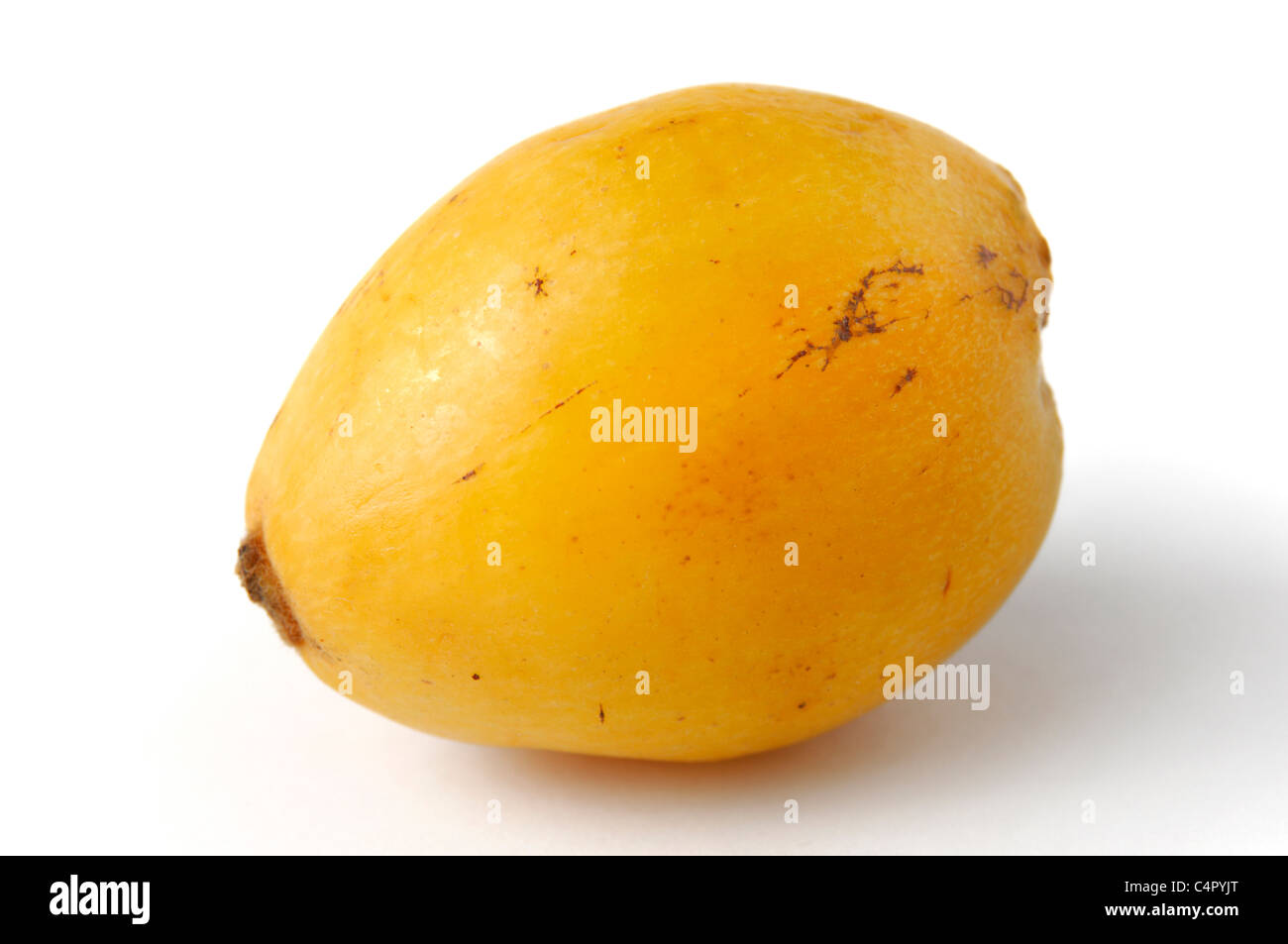 Fruits jaune loquat Eriobotrya japonica - - Isolé sur fond blanc Banque D'Images
