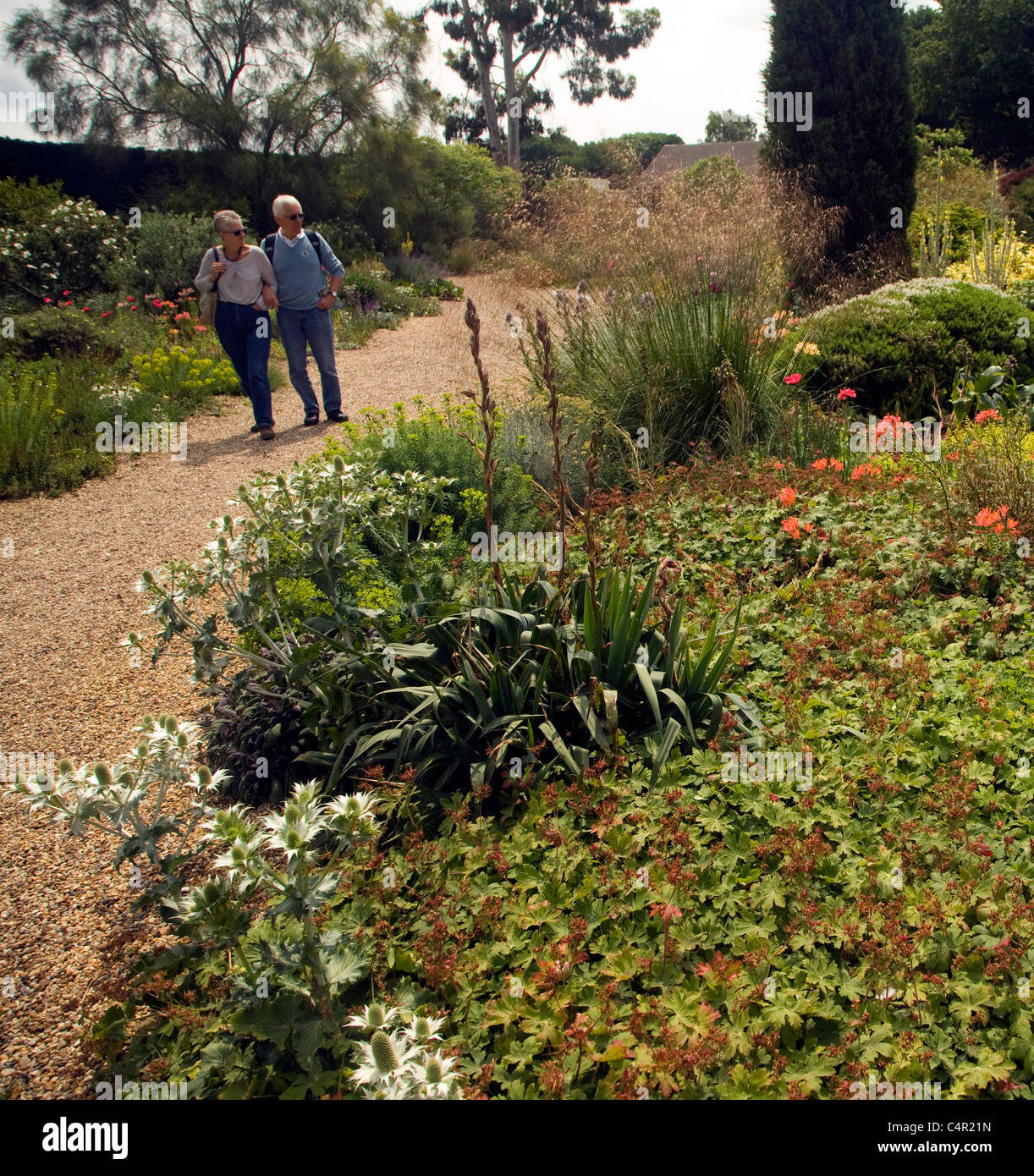 La Beth Chatto Garden et de pépinière, Elmstead Market, Essex, Angleterre Banque D'Images