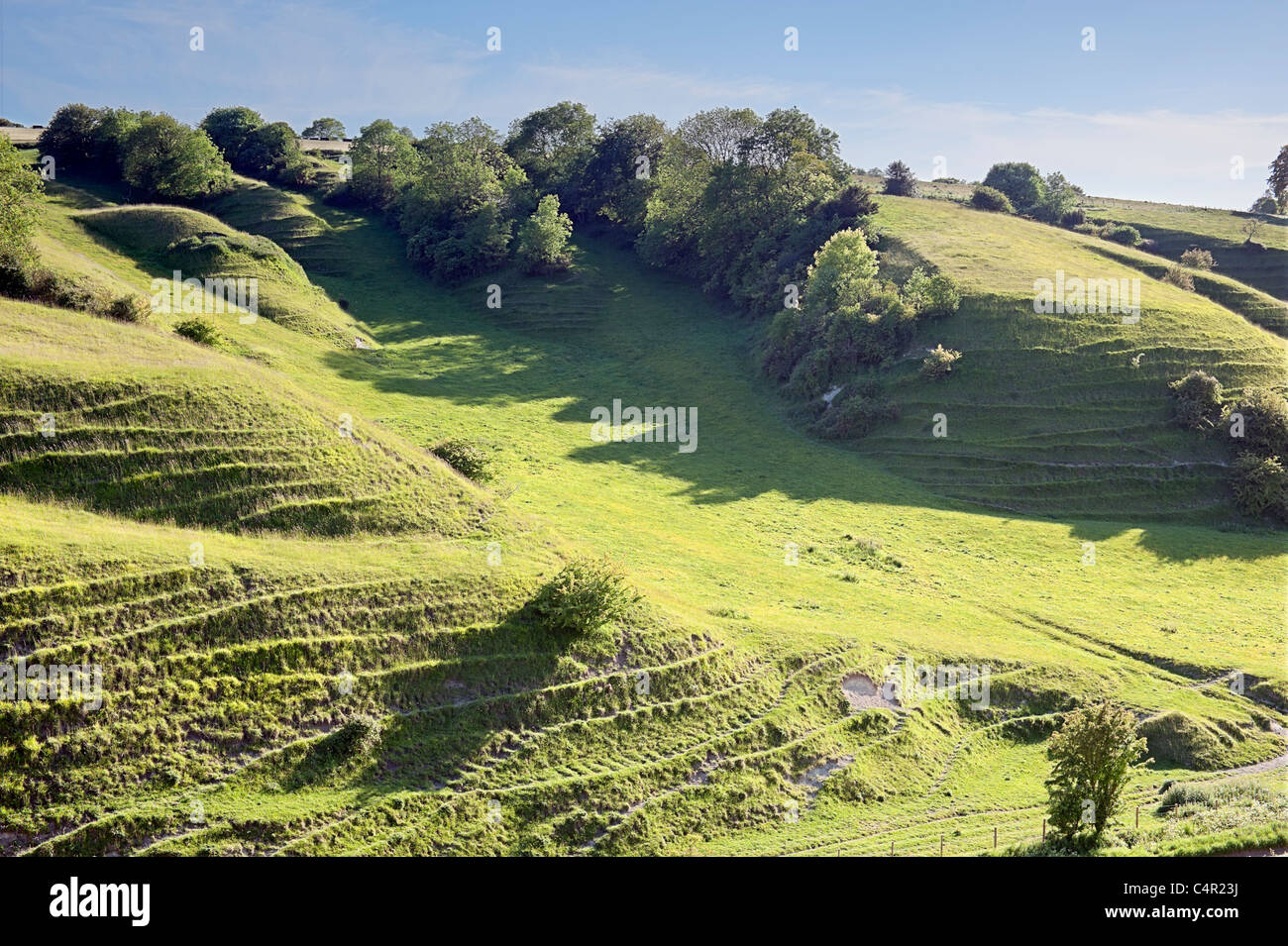 Downs au craie Heddington, Wiltshire, Angleterre, Royaume-Uni, Grande Bretagne, UK, FR Banque D'Images