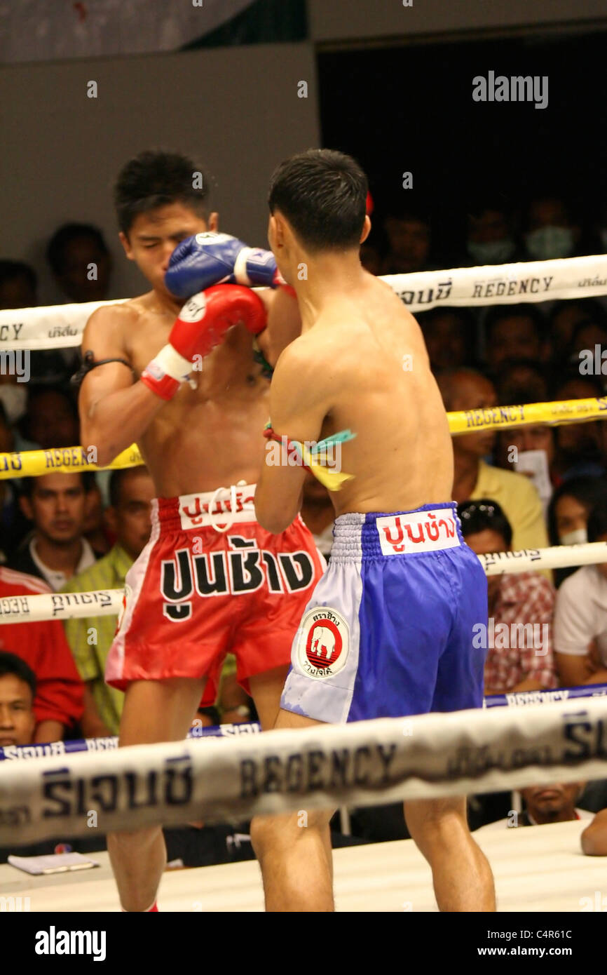 Compétition de Boxe Thaï en Thaïlande Banque D'Images