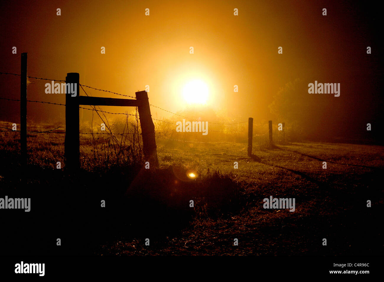 Lever du soleil sur une clôture rurale, Nimbin, Australie Banque D'Images