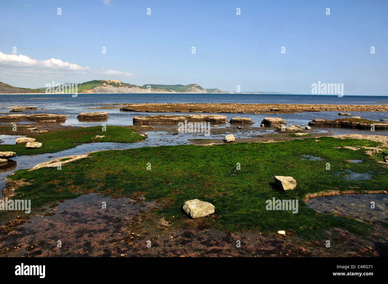 Marée basse à large rebord, Lyme Regis, dans le Dorset, UK Mai 2011 Banque D'Images