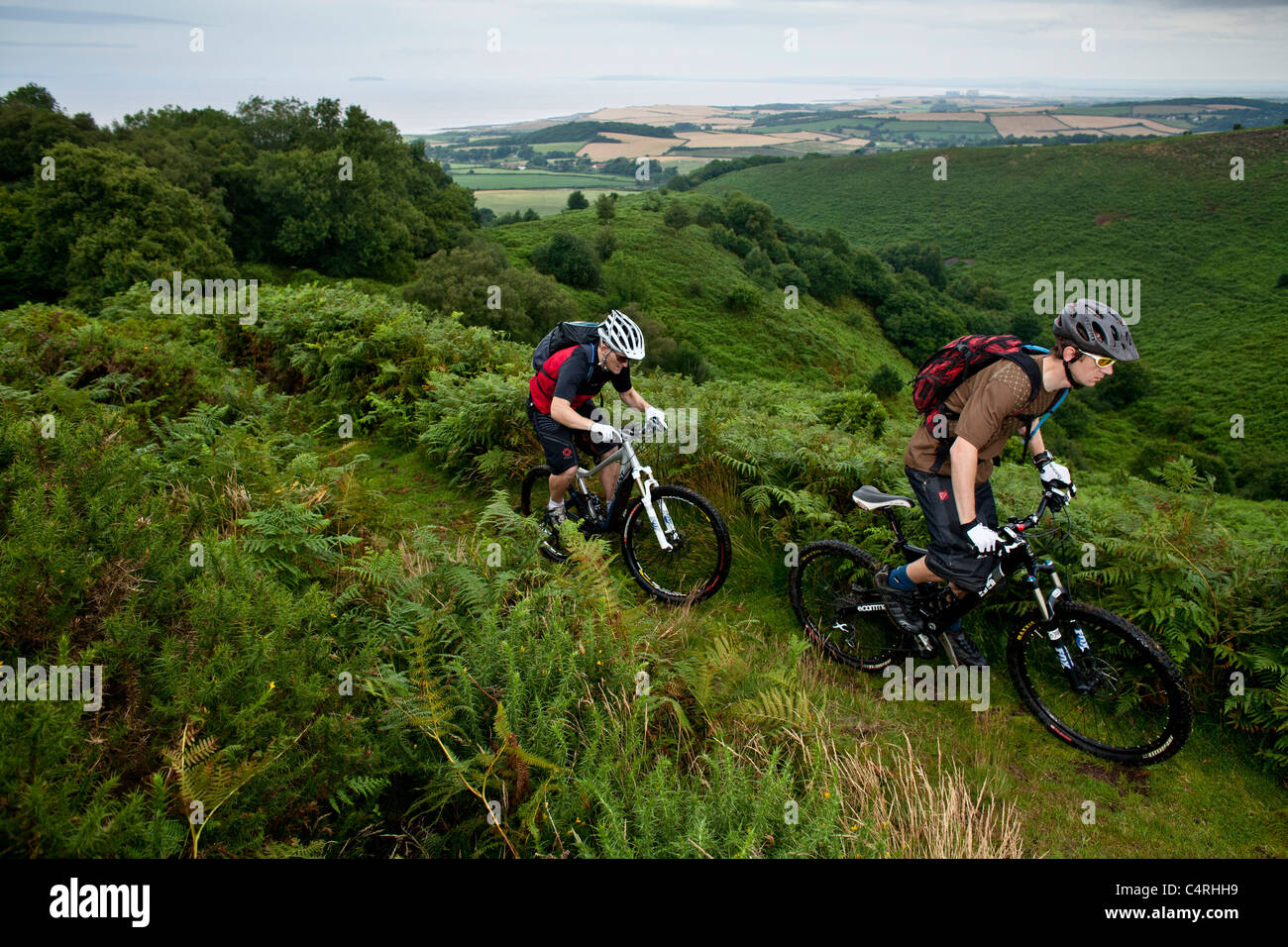 Paire de vététistes ride un sentier herbeux dans les collines de Quantock, Royaume-Uni Banque D'Images