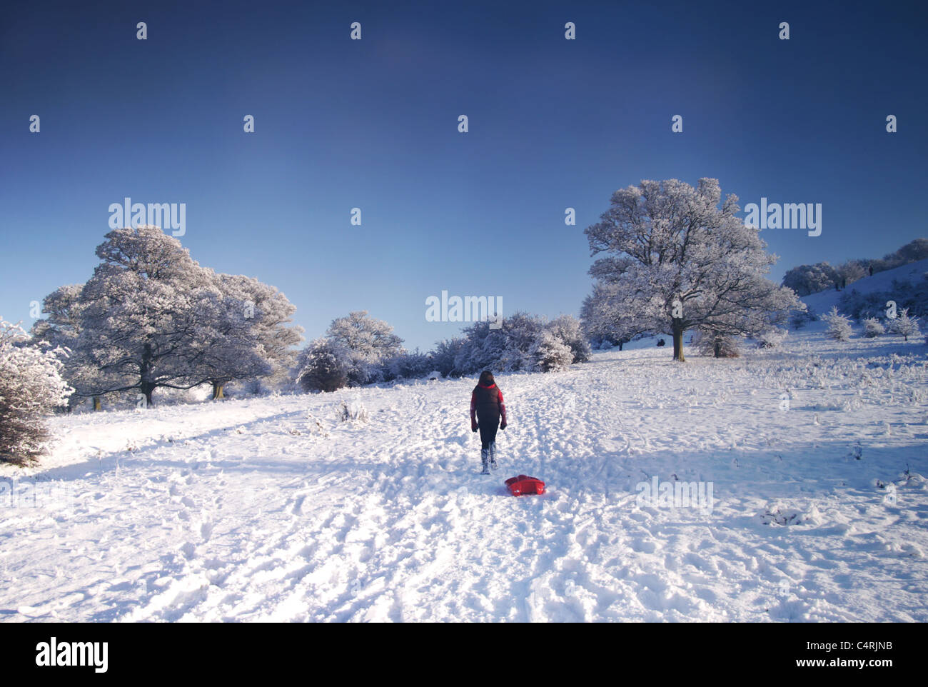 Girl with sled in snow Banque D'Images