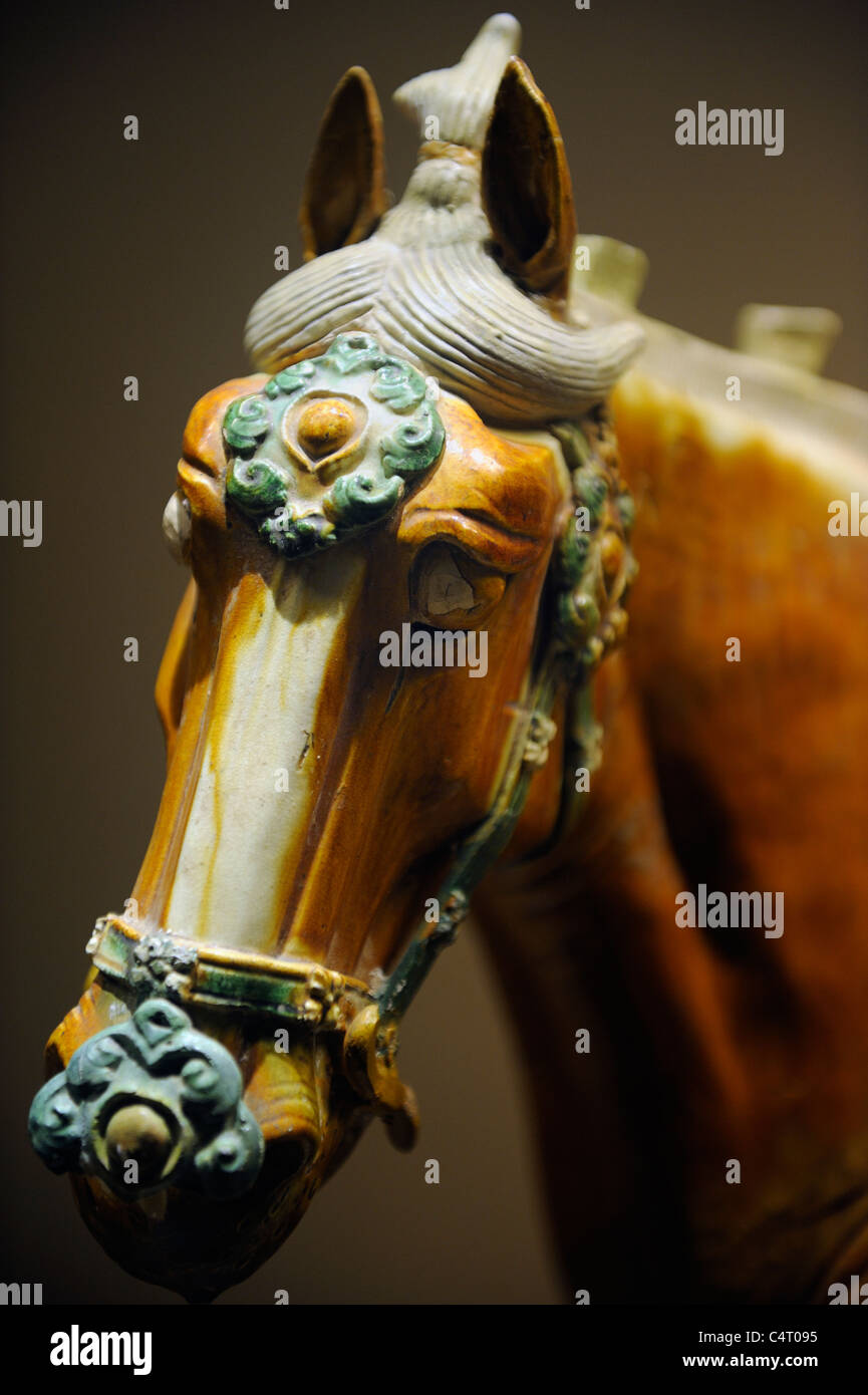Trois couleurs de figurine cheval Tang Dynastie Tang, Musée d'histoire de Shaanxi, en Chine. Banque D'Images