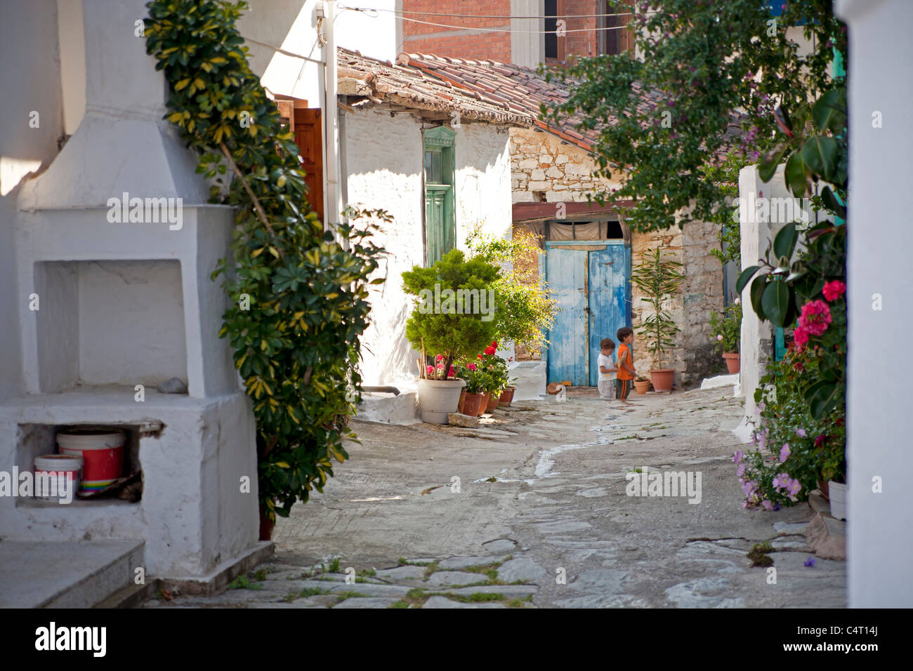 Ruelle typique avec des bâtiments blancs et cobblestone dans la vieille ville de la ville de Skopelos, Sporades du Nord, Skopelos, Grèce Banque D'Images