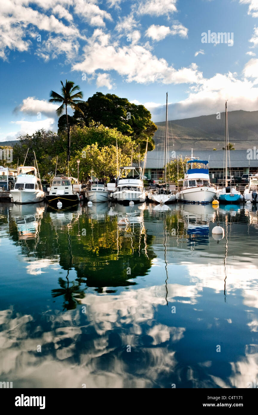 Lahaina Maui Réflexions des nuages, des bateaux et des palmiers dans le port de Lahaina Maui Hawaii USA. Banque D'Images