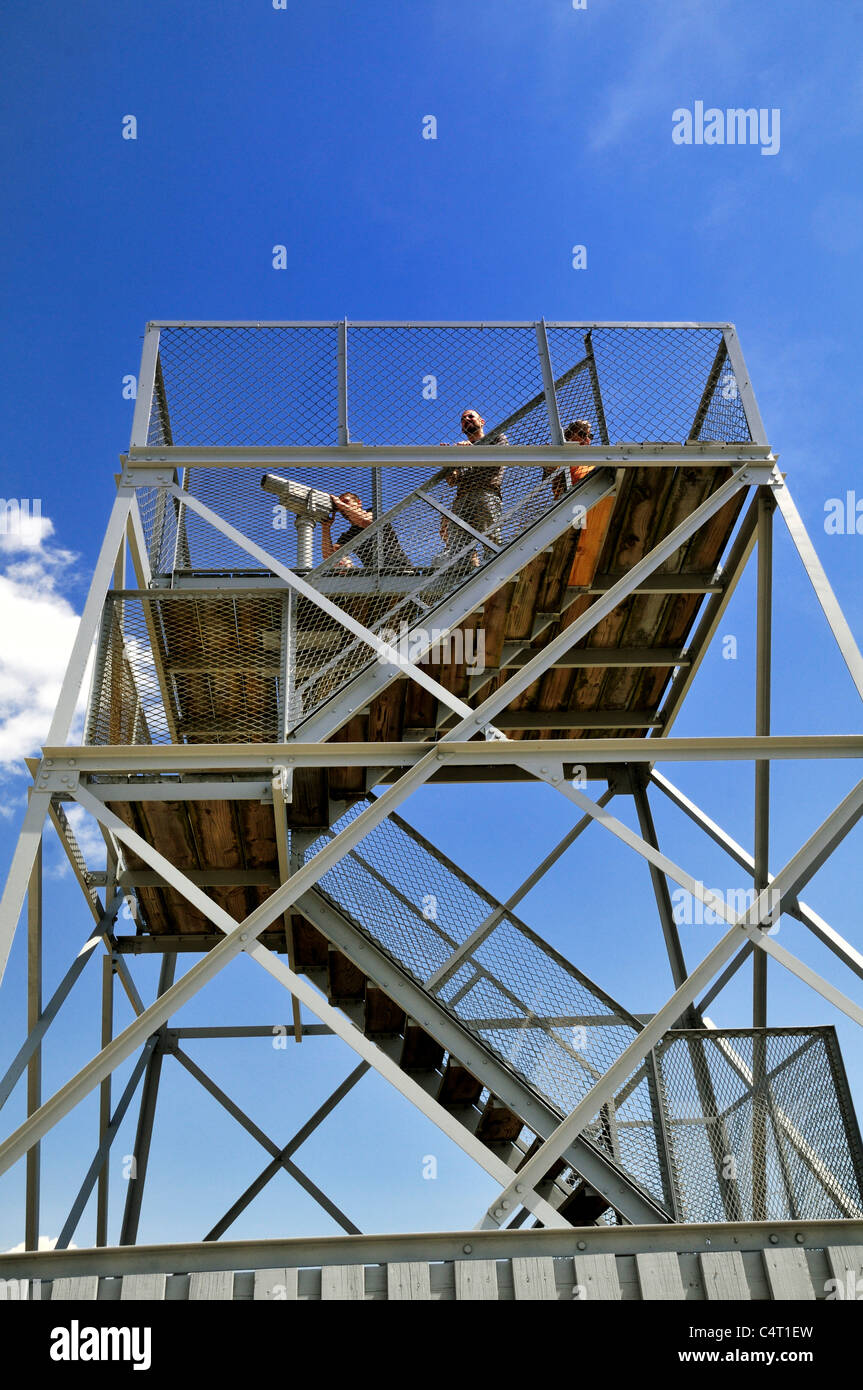 Les ornithologues amateurs à l'aide d'un télescope au sommet de la tour à l'Edwin B. Forsythe National Wildlife Refuge, New Jersey Banque D'Images