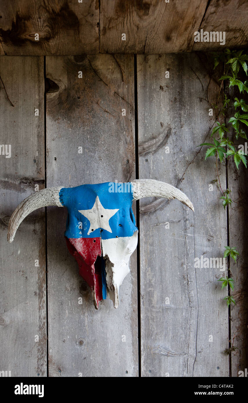 Le thème du crâne de vache Texas à Austin, Texas Banque D'Images