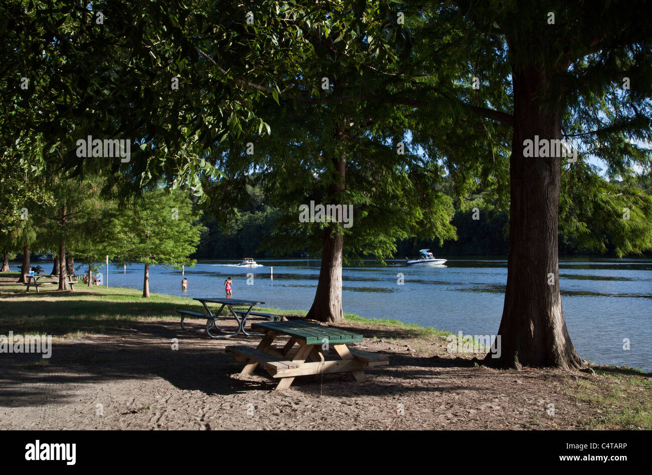 Les arbres le long des rives du lac Austin en Emma Long Park Banque D'Images