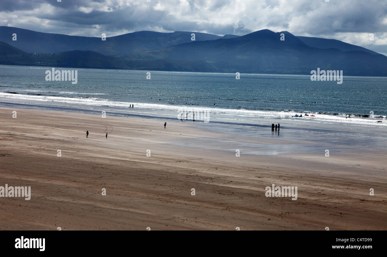 Inch Strand, vaste étendue de plage, péninsule de Dingle, Irlande Banque D'Images