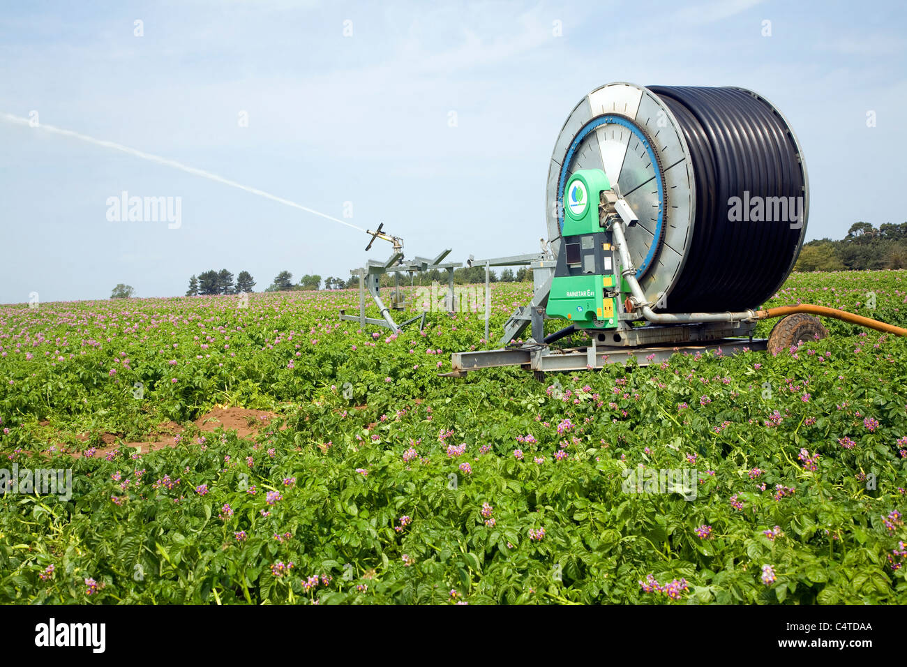 La pulvérisation de l'eau d'arrosage irrigation champ de pommes de terre, Sutton, Suffolk, Angleterre Banque D'Images
