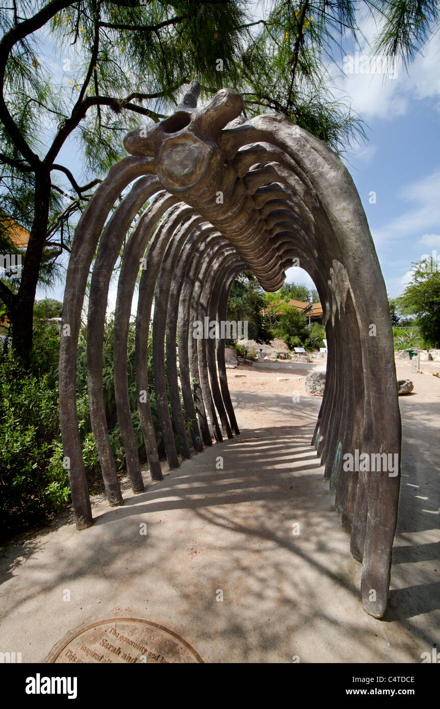 Austin, Texas Pit Dino Banque D'Images