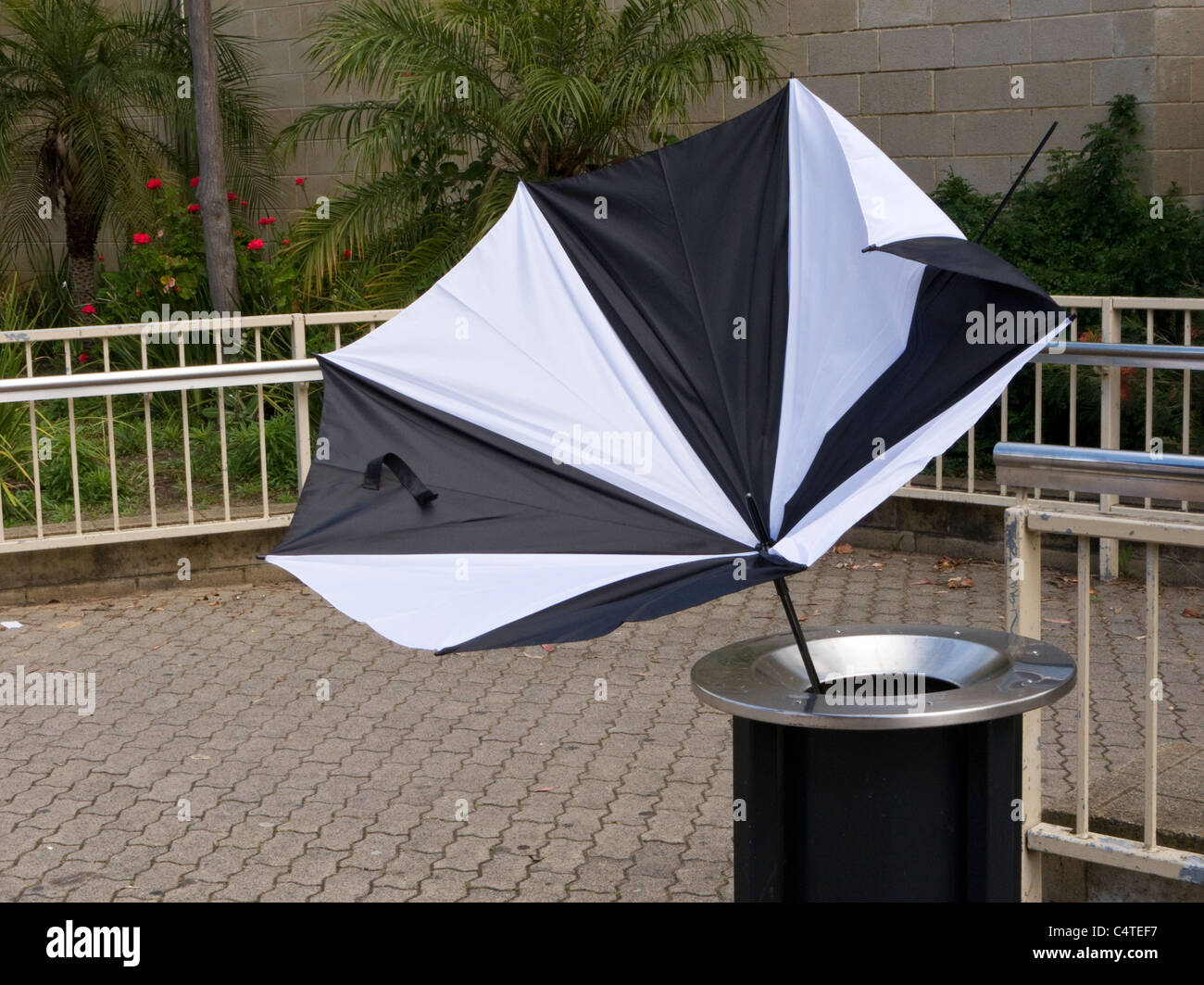 Soufflé parapluie de l'intérieur à l'extérieur dans une poubelle Banque D'Images