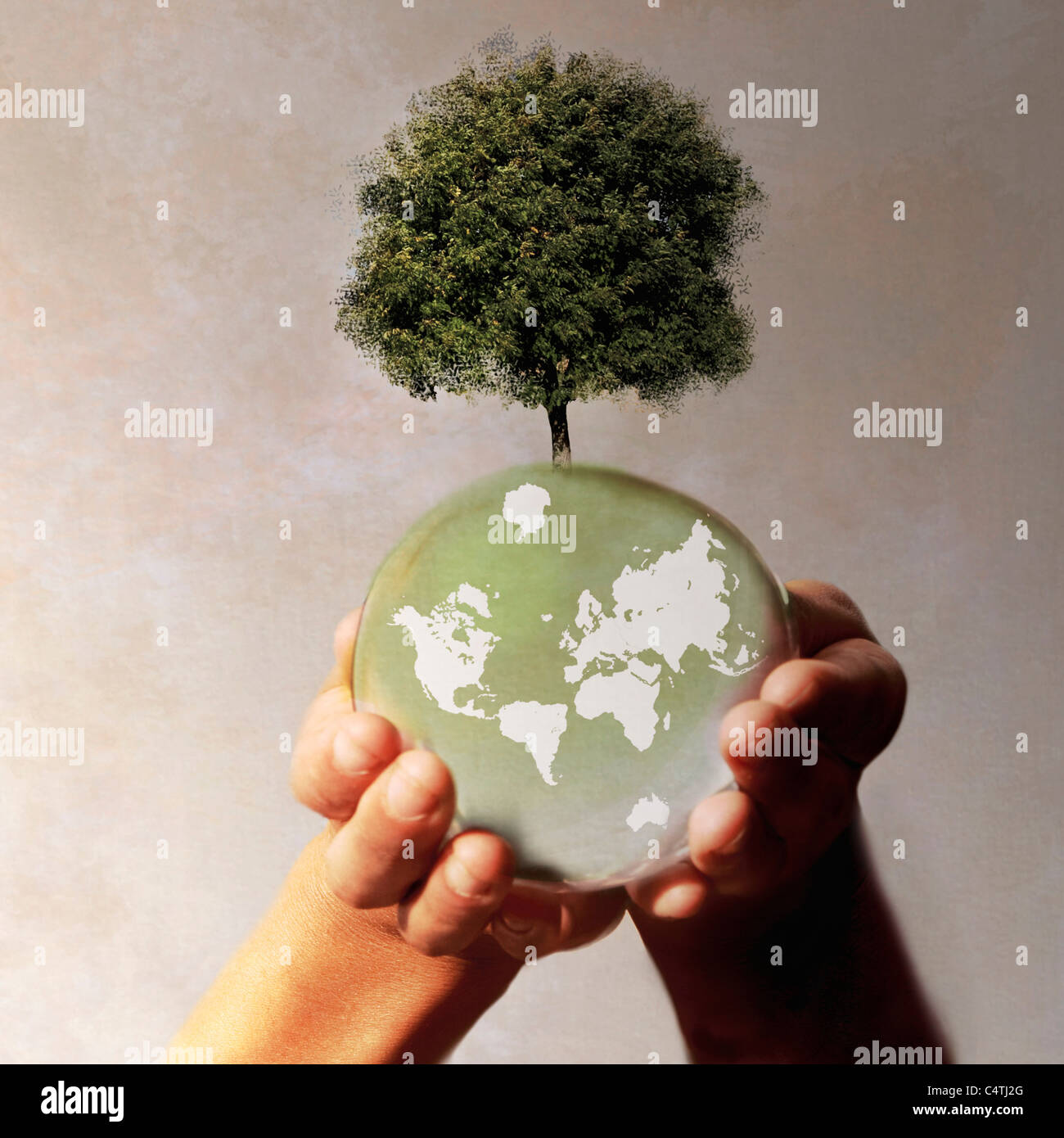 Mains tenant la planète terre avec l'arboriculture sur elle Banque D'Images