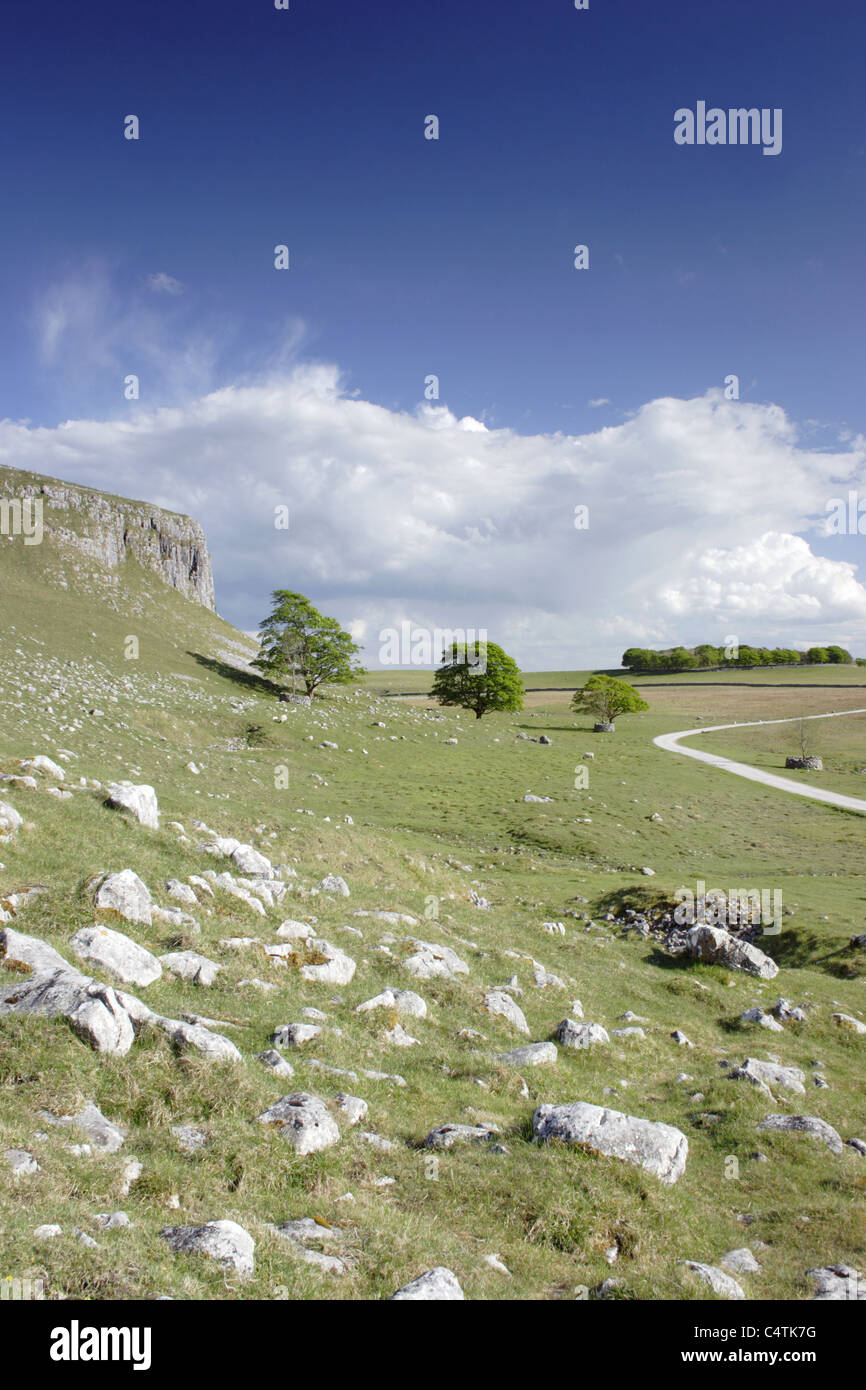 Malham tarn, été, malhamdale, Yorkshire Dales national park, North Yorkshire, uk Banque D'Images