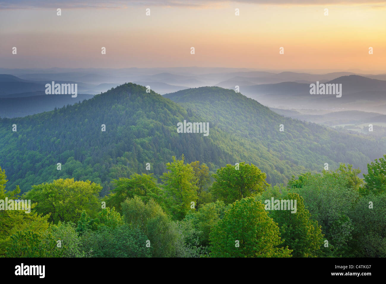 Le lever du soleil sur le paysage, Wegelnburg, Nothweiler, Pfalzerwald, Rhénanie-Palatinat, Allemagne Banque D'Images
