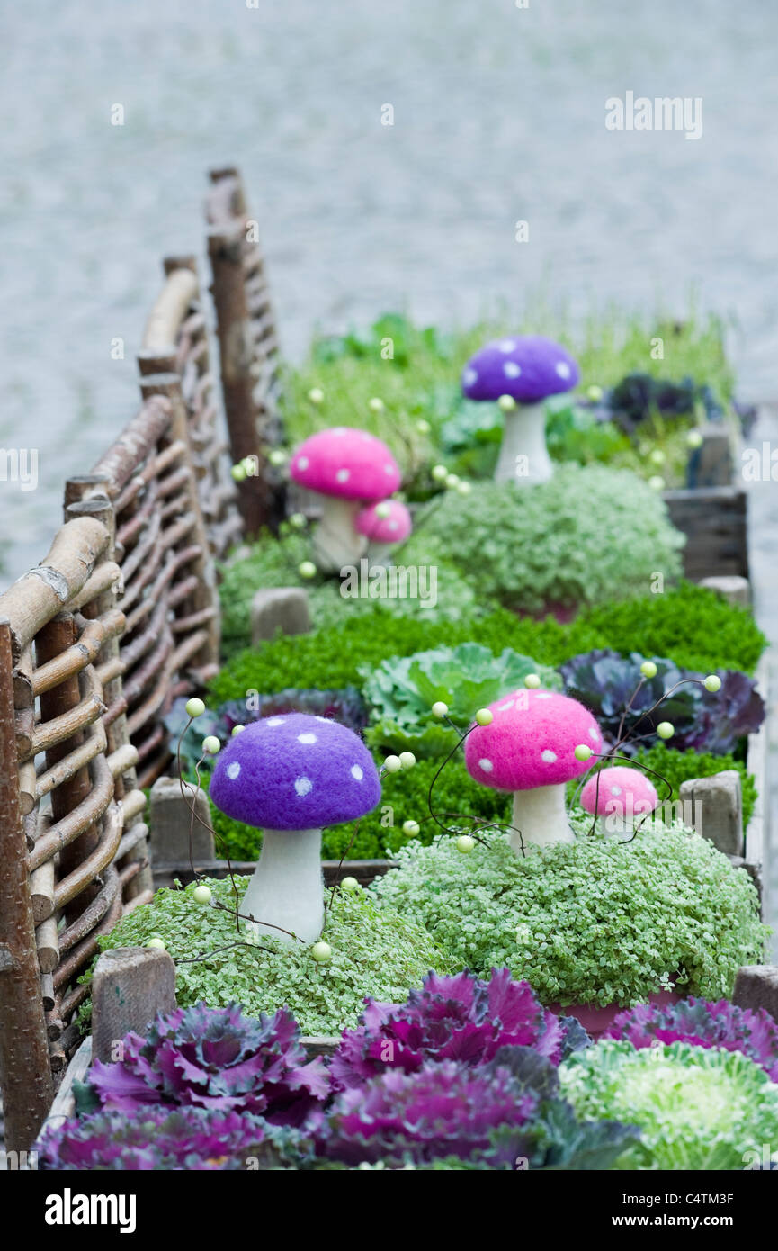Aanita Muscaria et Kale floraison, Salzbourg, Autriche Banque D'Images