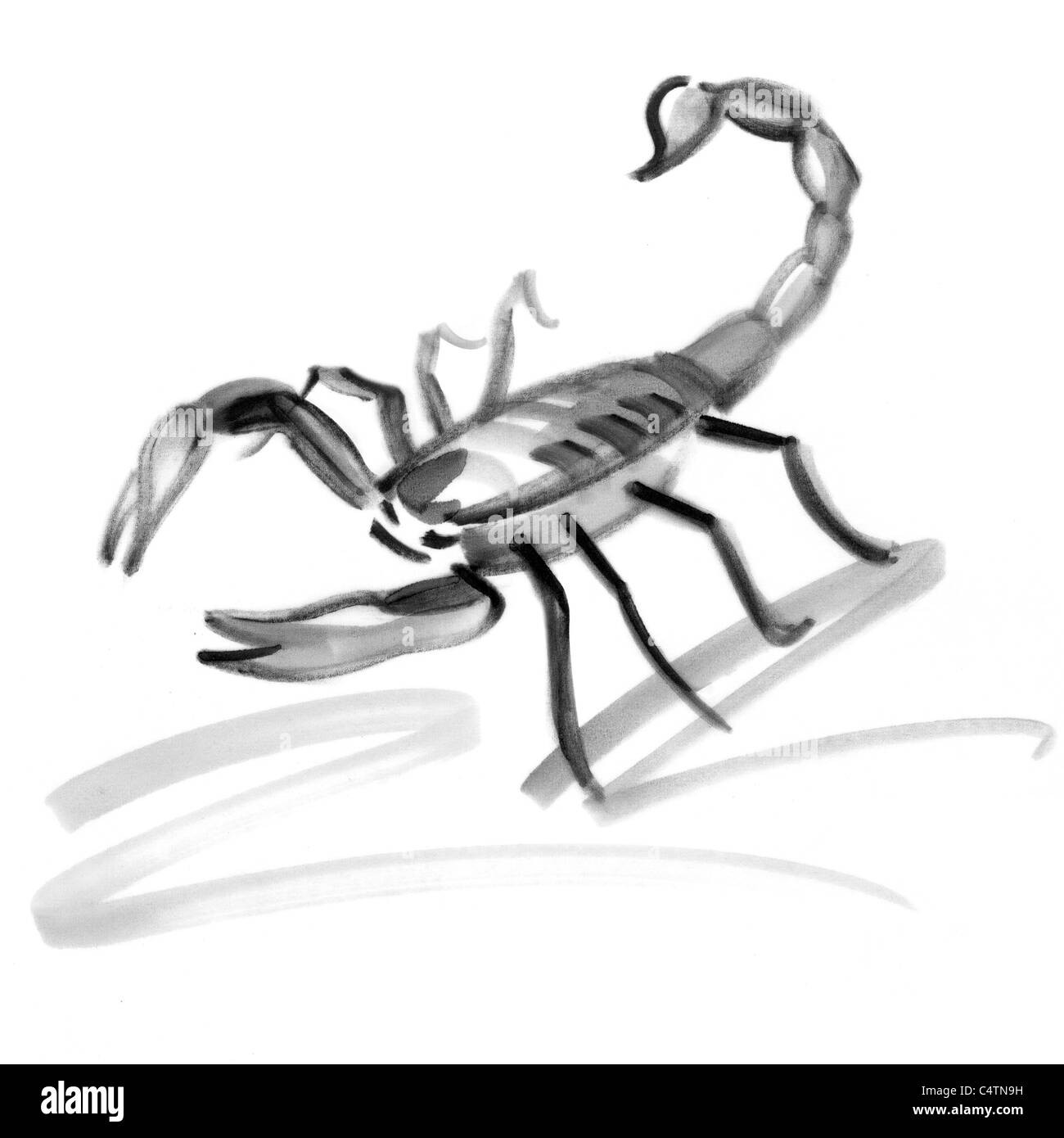 Signe astrologique Scorpion, illustration Banque D'Images