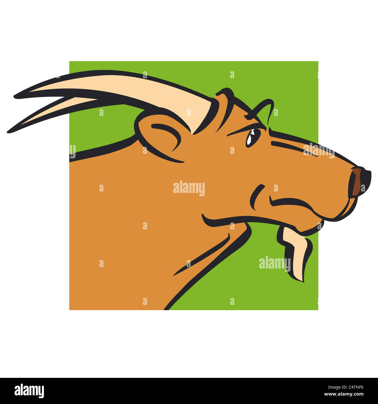 Signe astrologique Capricorne, illustration Banque D'Images