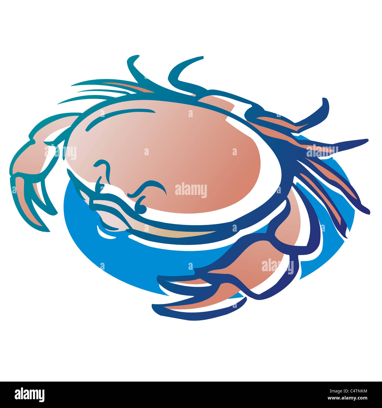 Signe astrologique Cancer, illustration Banque D'Images
