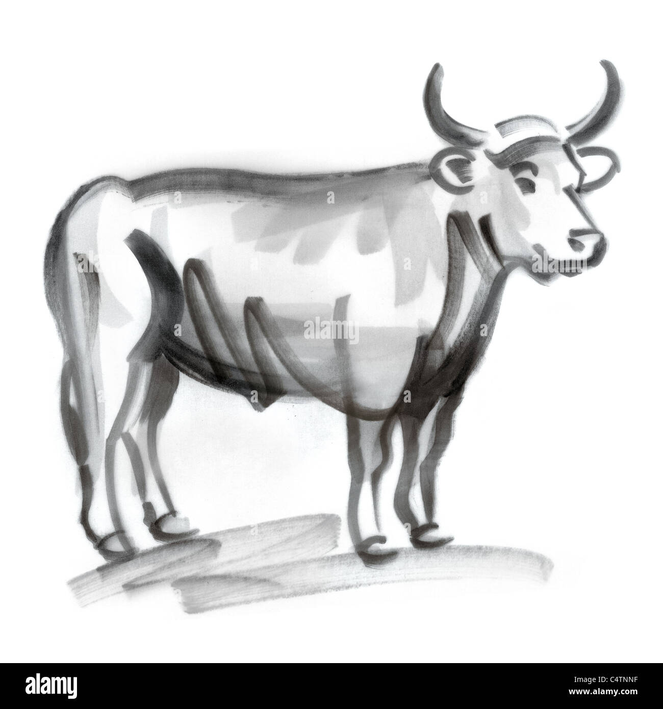 Signe astrologique taureau, illustration Banque D'Images