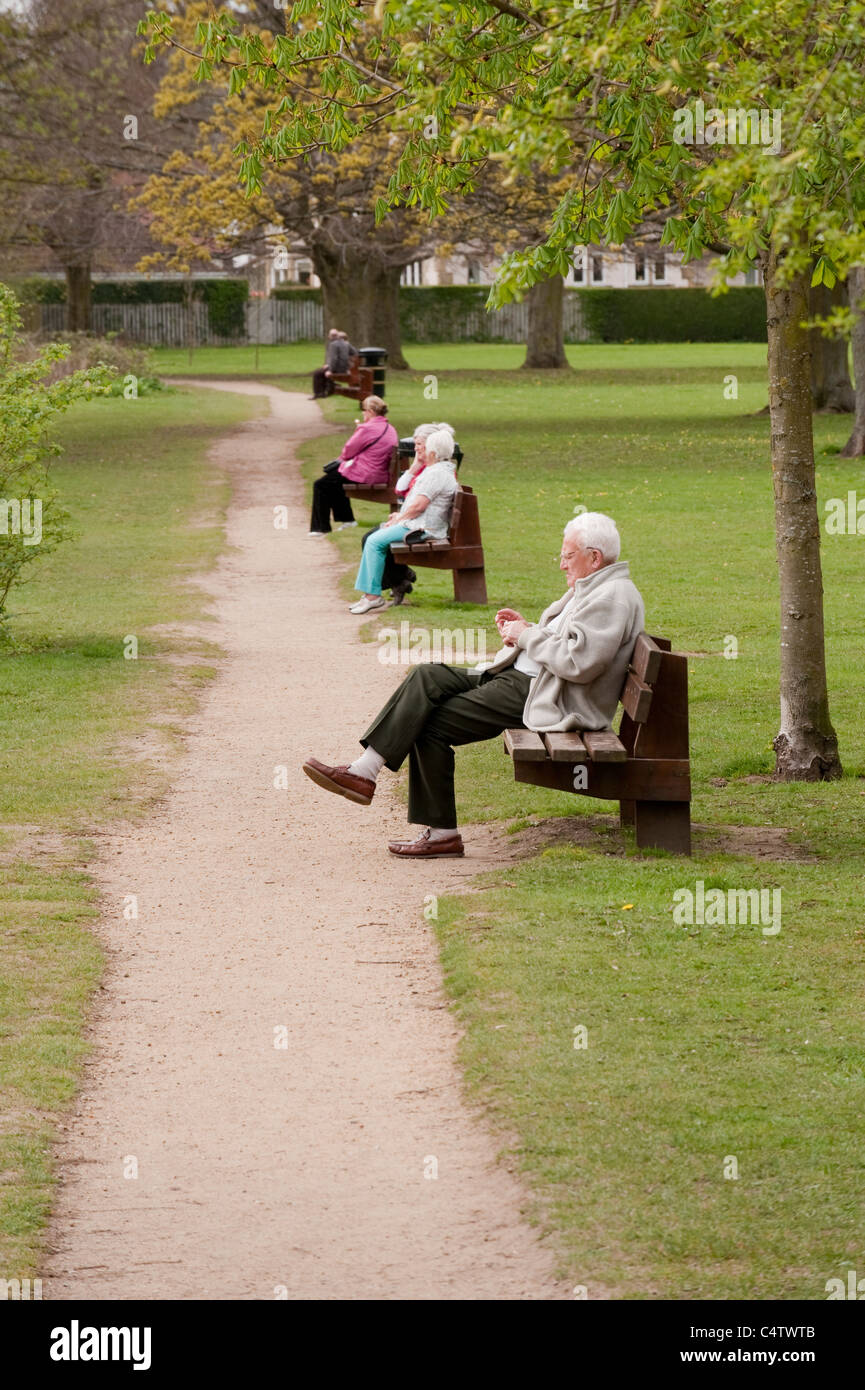 Personnes (femmes âgées et homme seul) assis se relaxant bavardant sur la ligne de bancs par chemin dans le parc pittoresque - Ilkley, West Yorkshire, Angleterre, Royaume-Uni. Banque D'Images