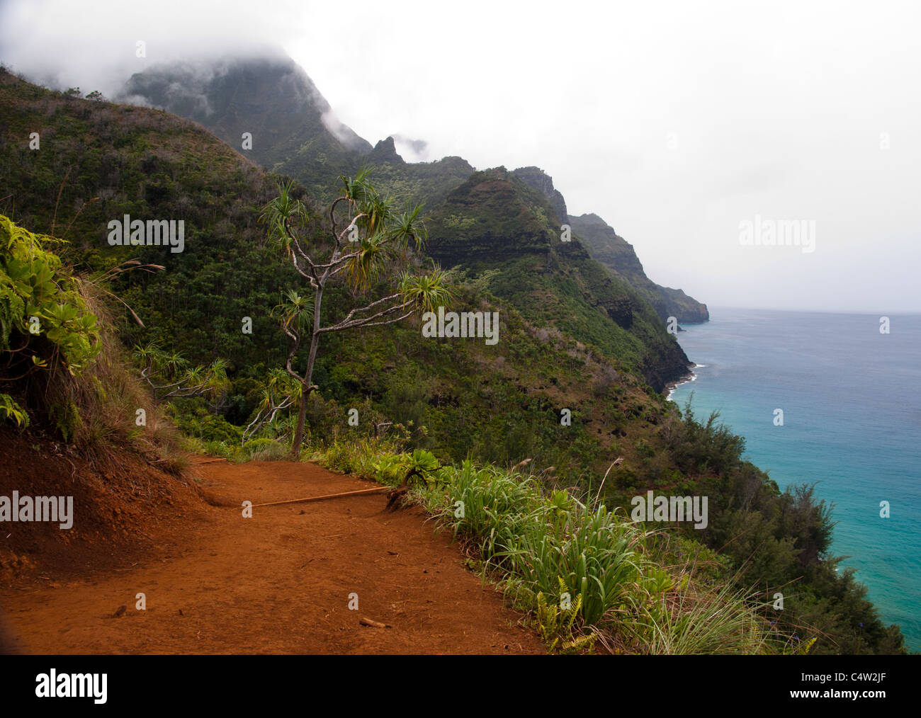 La Côte de Na Pali, vu de l'Kalalau Trail sur l'île de Kauai, Hawaii. Banque D'Images