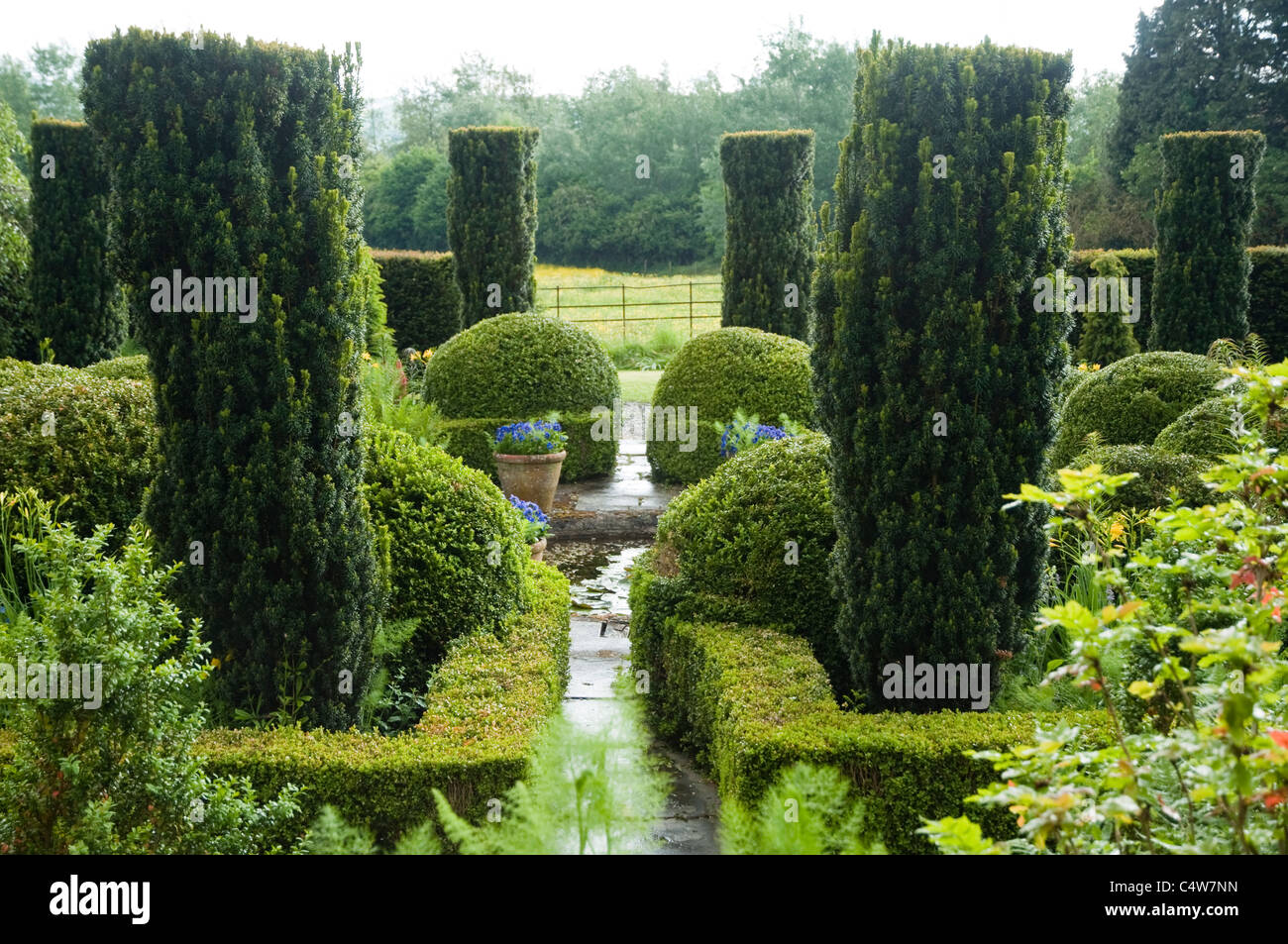 Topiaires d'if et fort de couverture, étang avec vue sur le jardin formel au-delà de campagne anglaise au sol Bryans, Herefordshire, Angleterre. Banque D'Images