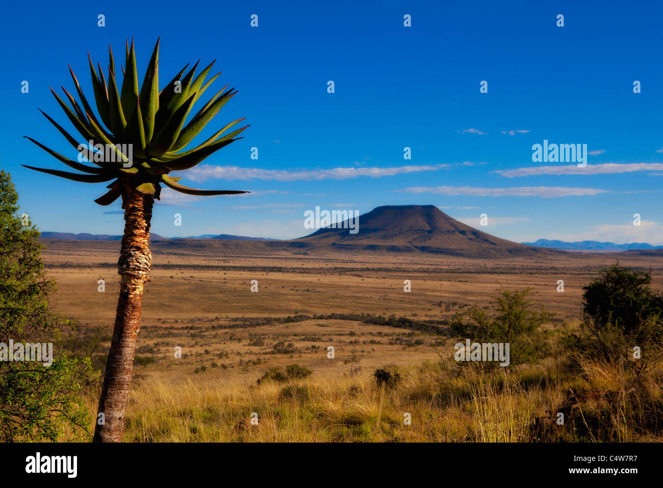 Mountain Zebra National Park Paysage, Afrique du Sud Banque D'Images
