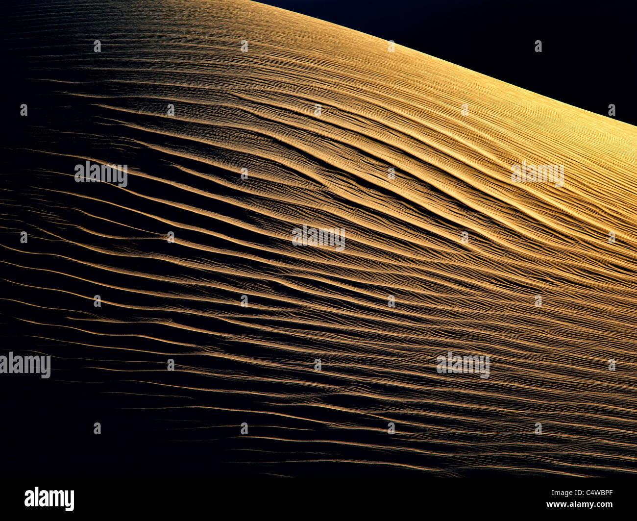 La première lumière sur les dunes de sable. Death Valley National Park, Californie Banque D'Images