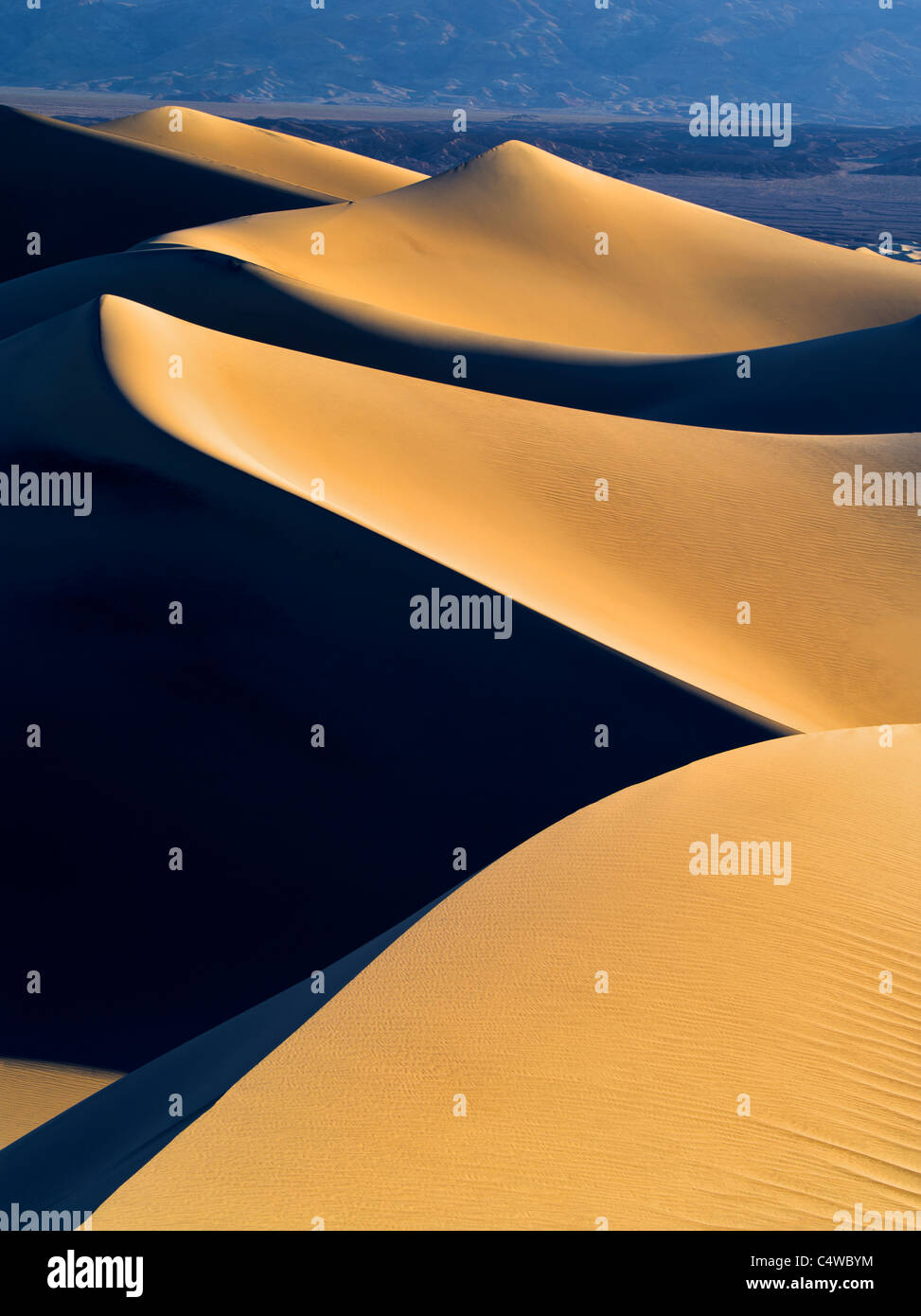 La première lumière sur les dunes de sable. Death Valley National Park, Californie Banque D'Images