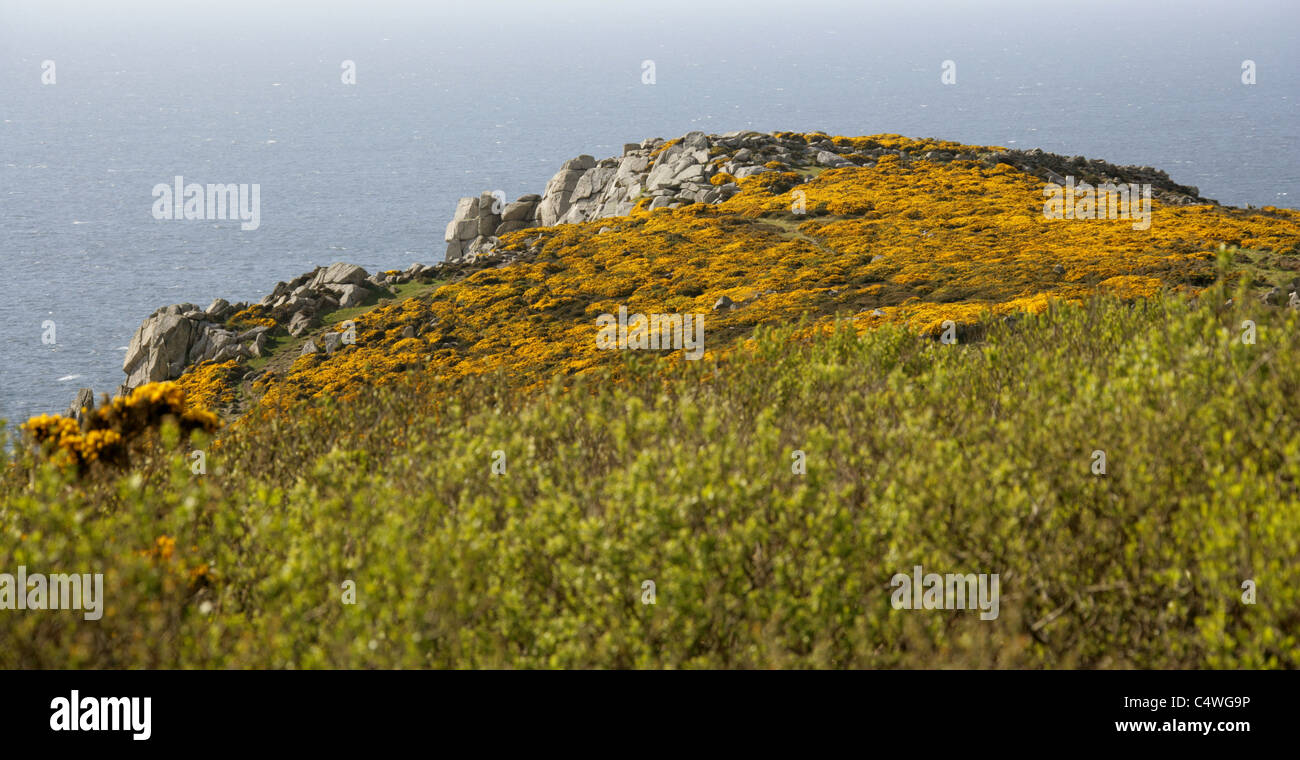 Les falaises et Pointe à Rosemergy (entre Porthmeor et Morvah), West Penwith, Cornwall, UK. Banque D'Images