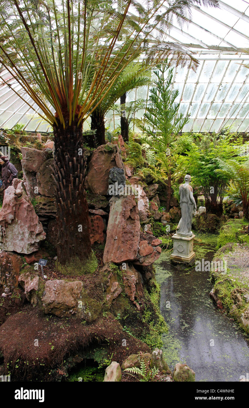 Ascog Hall & Fernery, île de Bute Banque D'Images