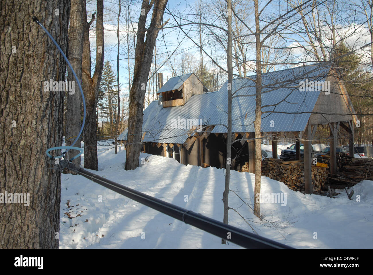 Une cabane à sucre envoyer de la vapeur dans l'air comme sugarmakers d'ébullition de l'eau d'érable en sucre. Banque D'Images